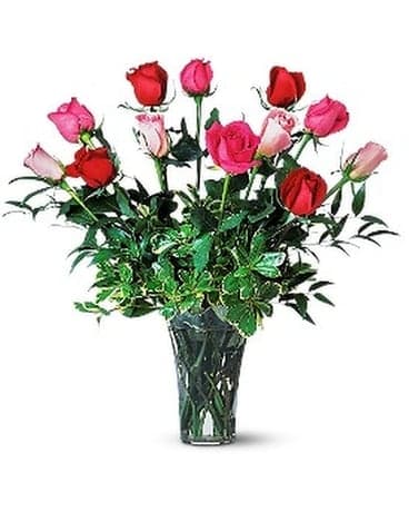 A Dozen Premium Multi-Color Roses