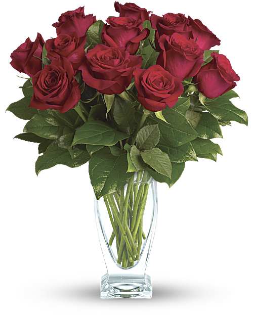 A Dozen Premium Red Roses